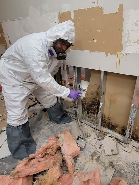 Asbestos and mold remediation work during wall demolition